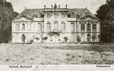 Schenkung an Schlossmuseum Molsdorf