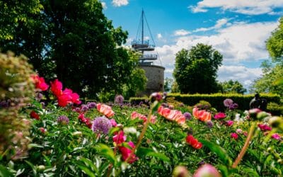 Pfingsten im egapark: