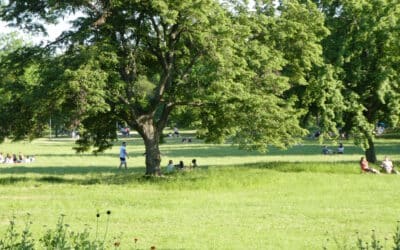 Öffentlich an Baum gebunden