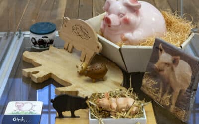 Im Museum für Thüringer Volkskunde wird es schweinisch