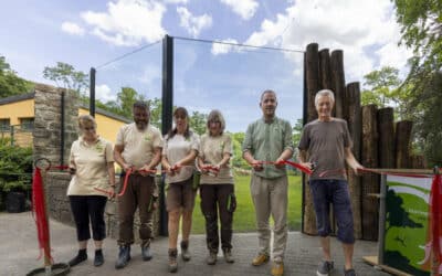 Neue Gepardenanlage im Thüringer Zoopark Erfurt eröffnet