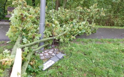 Wenige Minuten schlagen Schneise der Verwüstung durch Erfurt