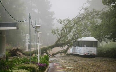 Unwetter über Erfurt – aktuelle Informationen der SWE