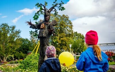 Lichterfestticket auf Saison- oder Jahreskarte anrechnen lassen