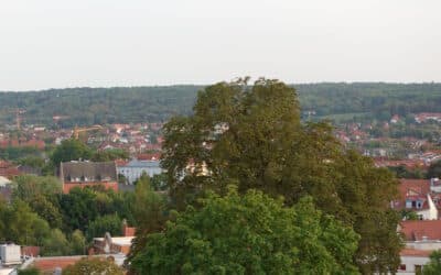LPI-EF: Einbrecher macht große Beute