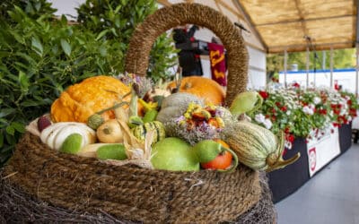 Cerealienmarkt lockt mit Gartenpflanzen, Herbstkränzen und Gemüse