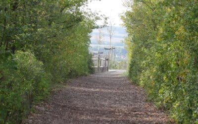 Meldestart zum Zooparklauf