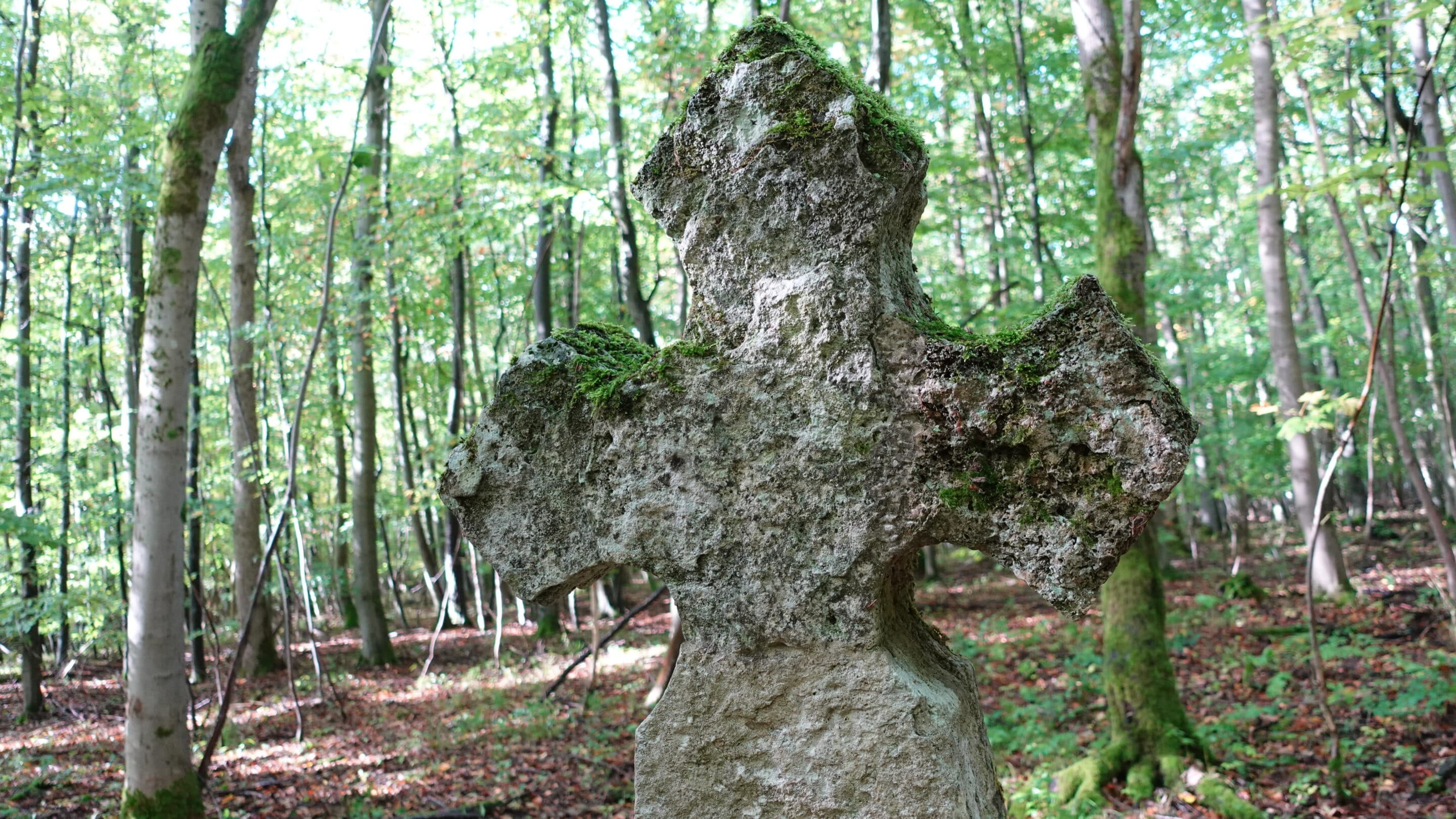 Das Ihlefelder Kreuz im Nationalpark Hainich erinnert an einen vom Bär getöteten Jäger.