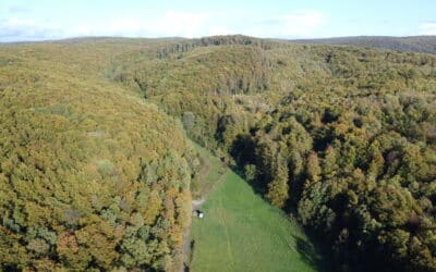 Stabiler Anstieg bei den Thüringer Übernachtungszahlen im Herbst 2023