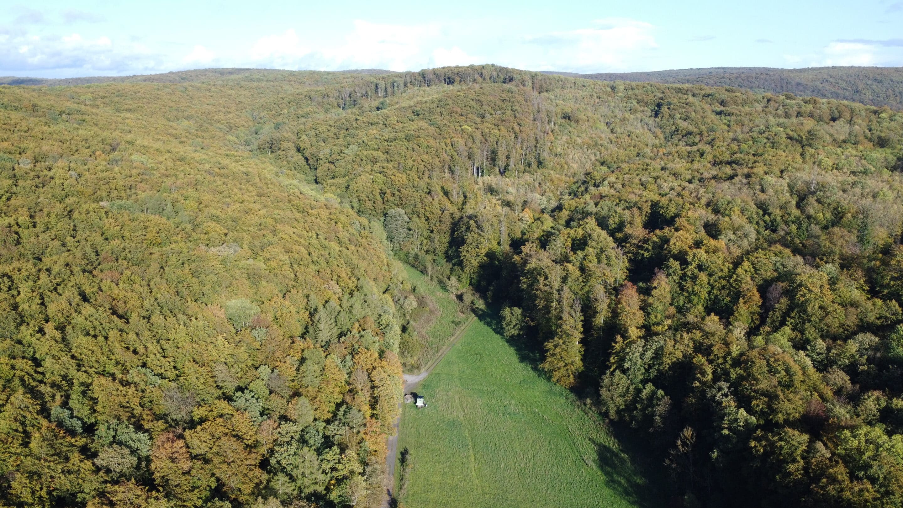 Ein Tal am Südrand des Hainich einem Nationalpark in der Nähe von Eisenach in Thüringen.