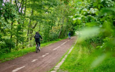 Modellvorhaben Südost: Aktionstag am Holzergraben