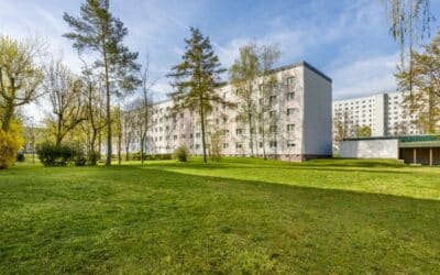 Moskauer Platz bekommt Miniwald – helfende Hände gesucht