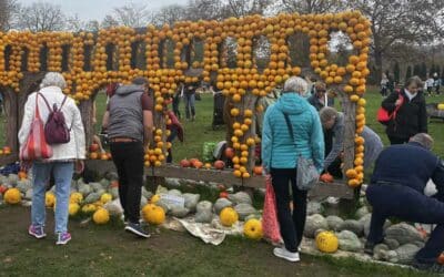 Kürbisernte im egapark