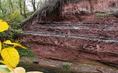 Die Rote Wand in Gispersleben