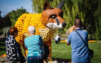 Frühjahrsvorbereitungen auf dem Großen Blumenbeet