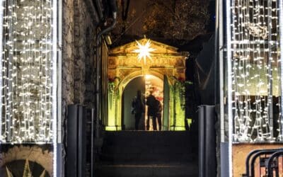 Adventskalender, Kranz, Tannenbaum und Co