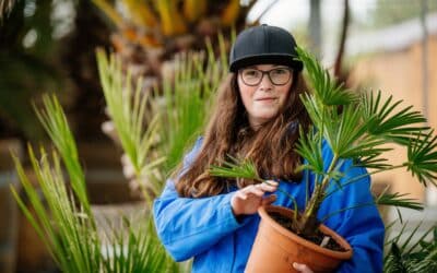 Herbstarbeiten und Wintervorbereitungen im egapark