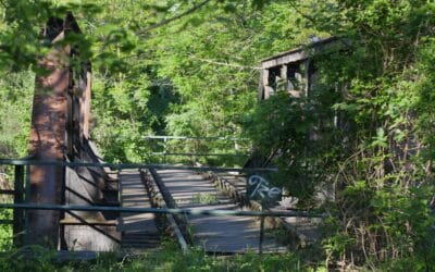 Befragung zu Naherholung und Artenschutz in der Györer Straße