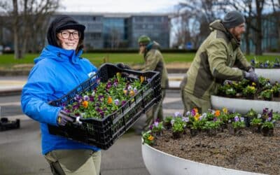 egapark-Gärtner setzten auf „eigenen Nachwuchs“