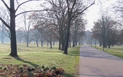 Frühlingsbeginn beendet Baum- und Heckenschnitt