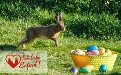 Frohe Ostern!