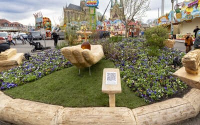 Blumenbeet auf dem Domplatz aufgebaut