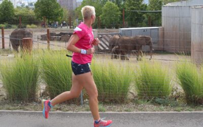 Meldestart zum Zooparklauf