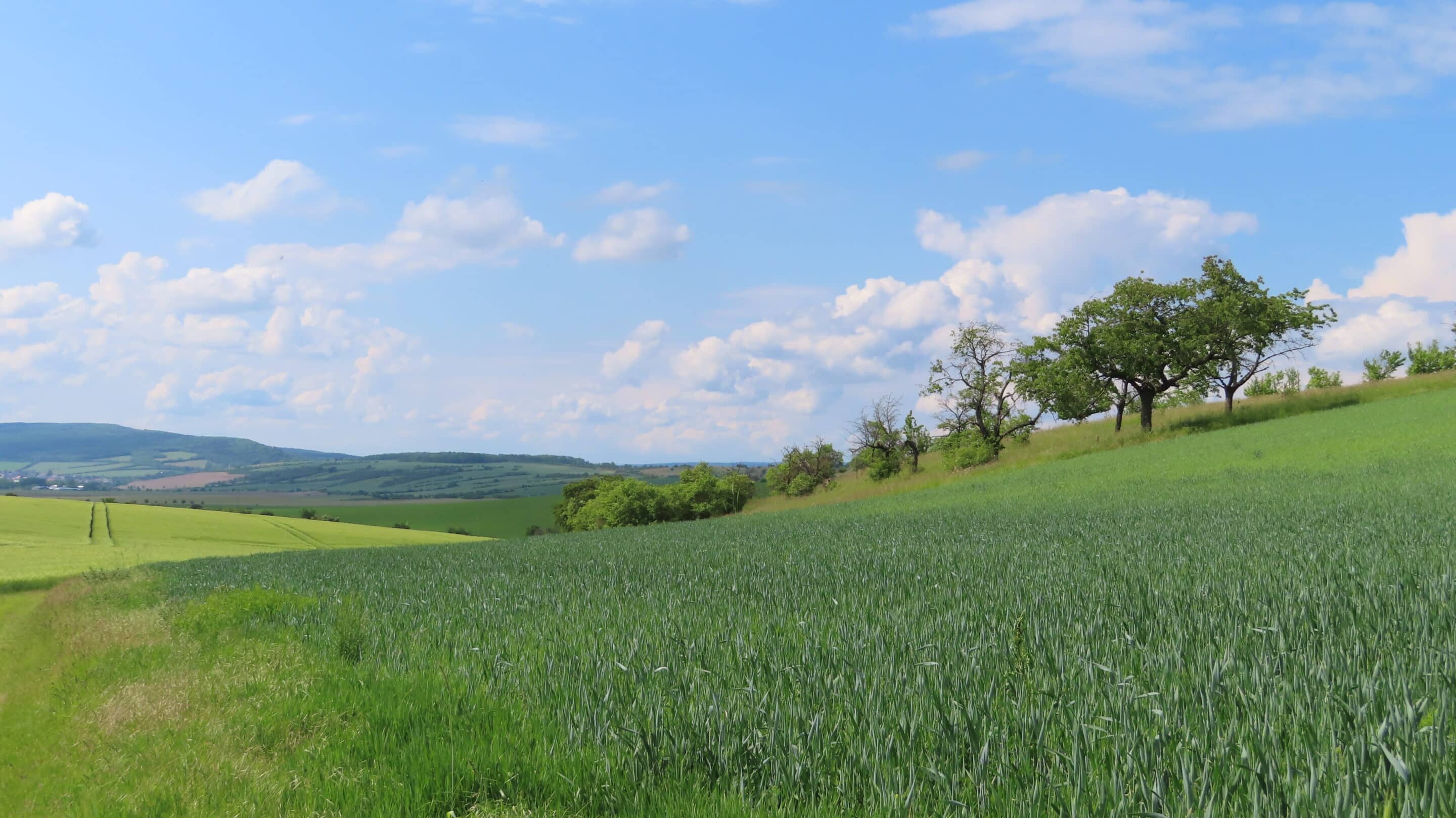 Blick in das Thüringer Becken bei Beichlingen im Landkreis Sömmerda an einem Frühlingstag.