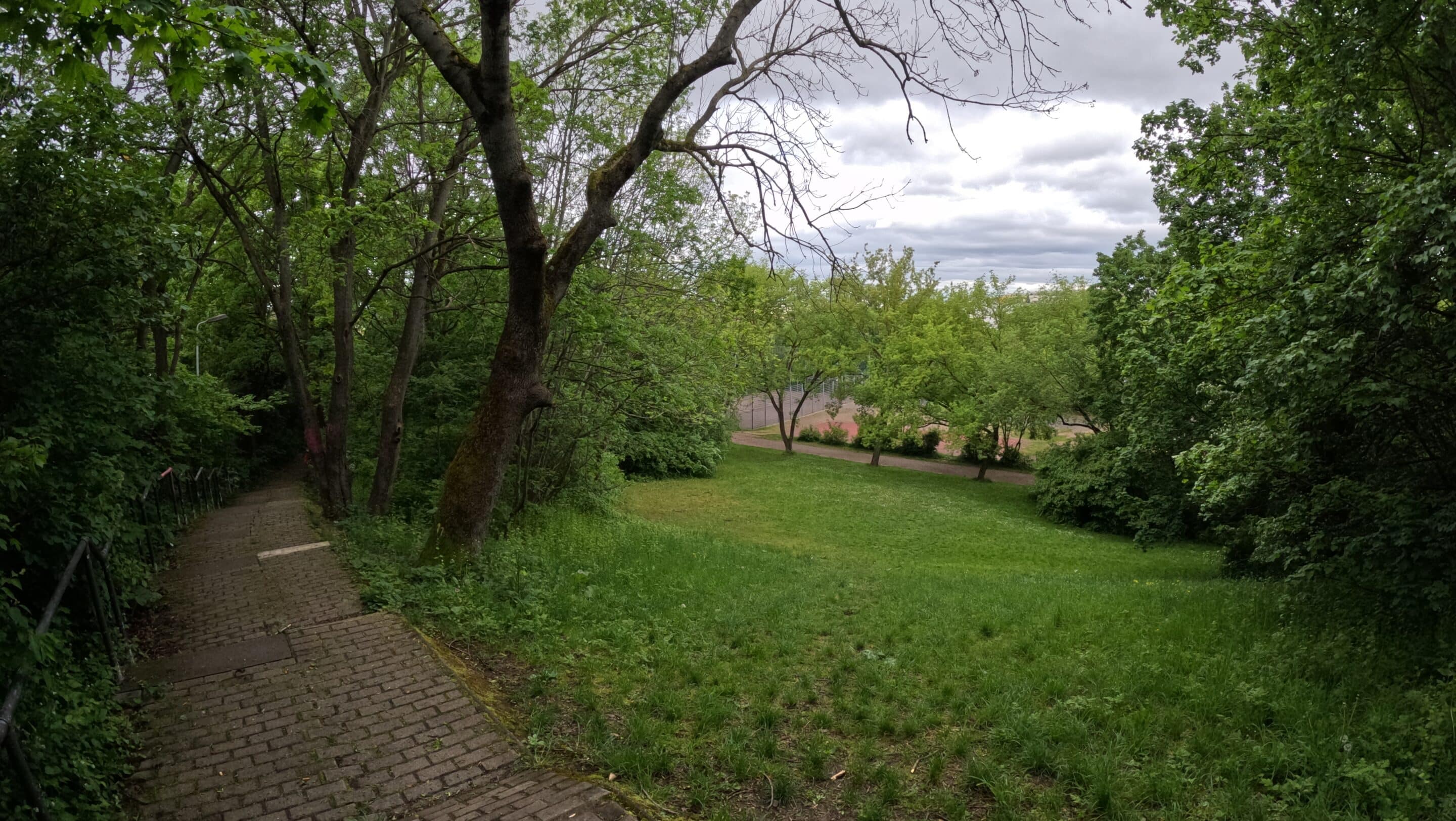 Eine Grünfläche im Park am Wiesenhügel in Erfurt zwischen Schlehdornweg und Kranichfelder Straße.