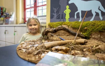 Fünfjährige aus Erfurt findet prähistorischen Pferdeknochen