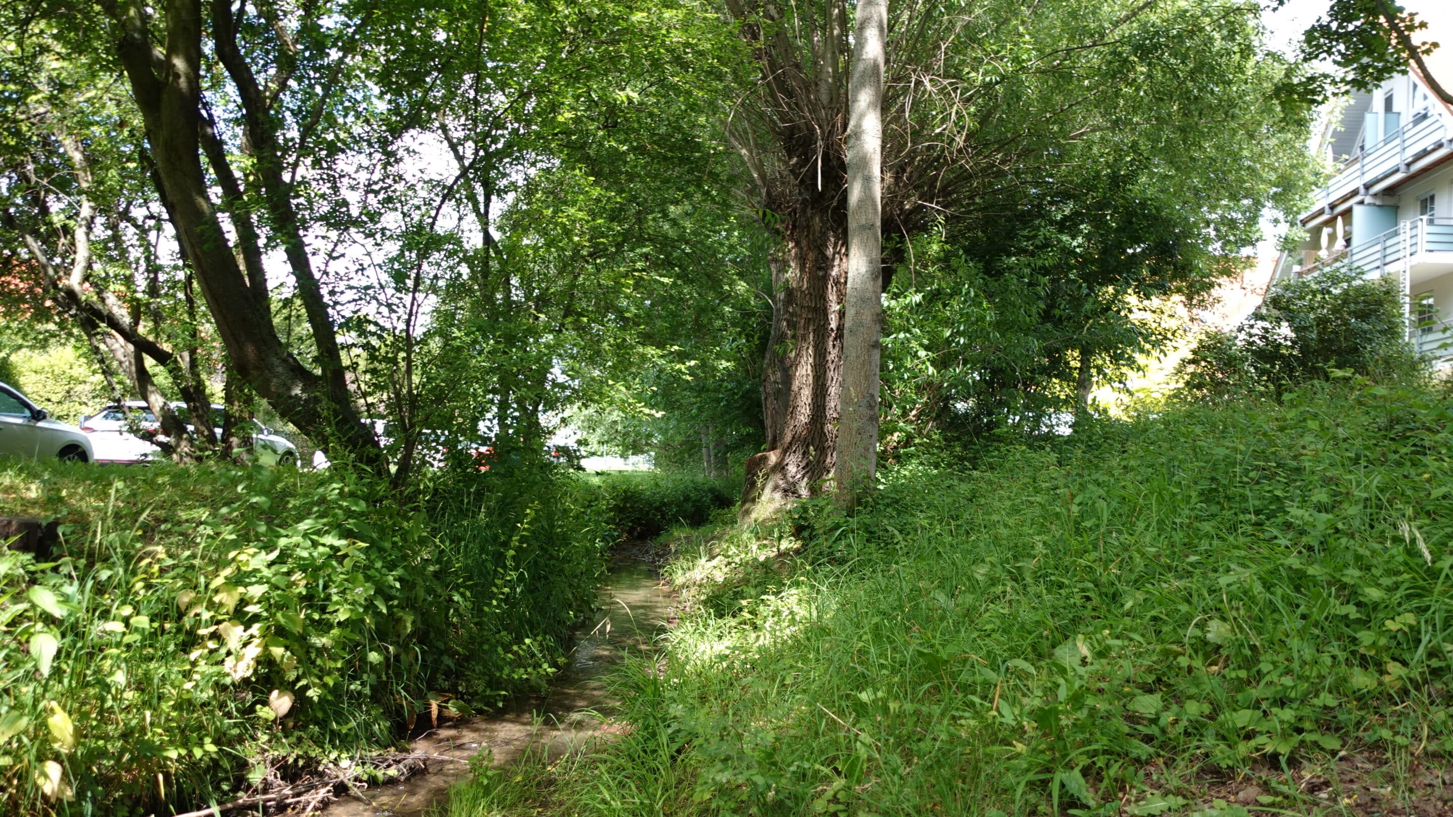 Der Marbach in der Ortslage Marbach einem Ortsteil der Landeshauptstadt von Thüringen Erfurt