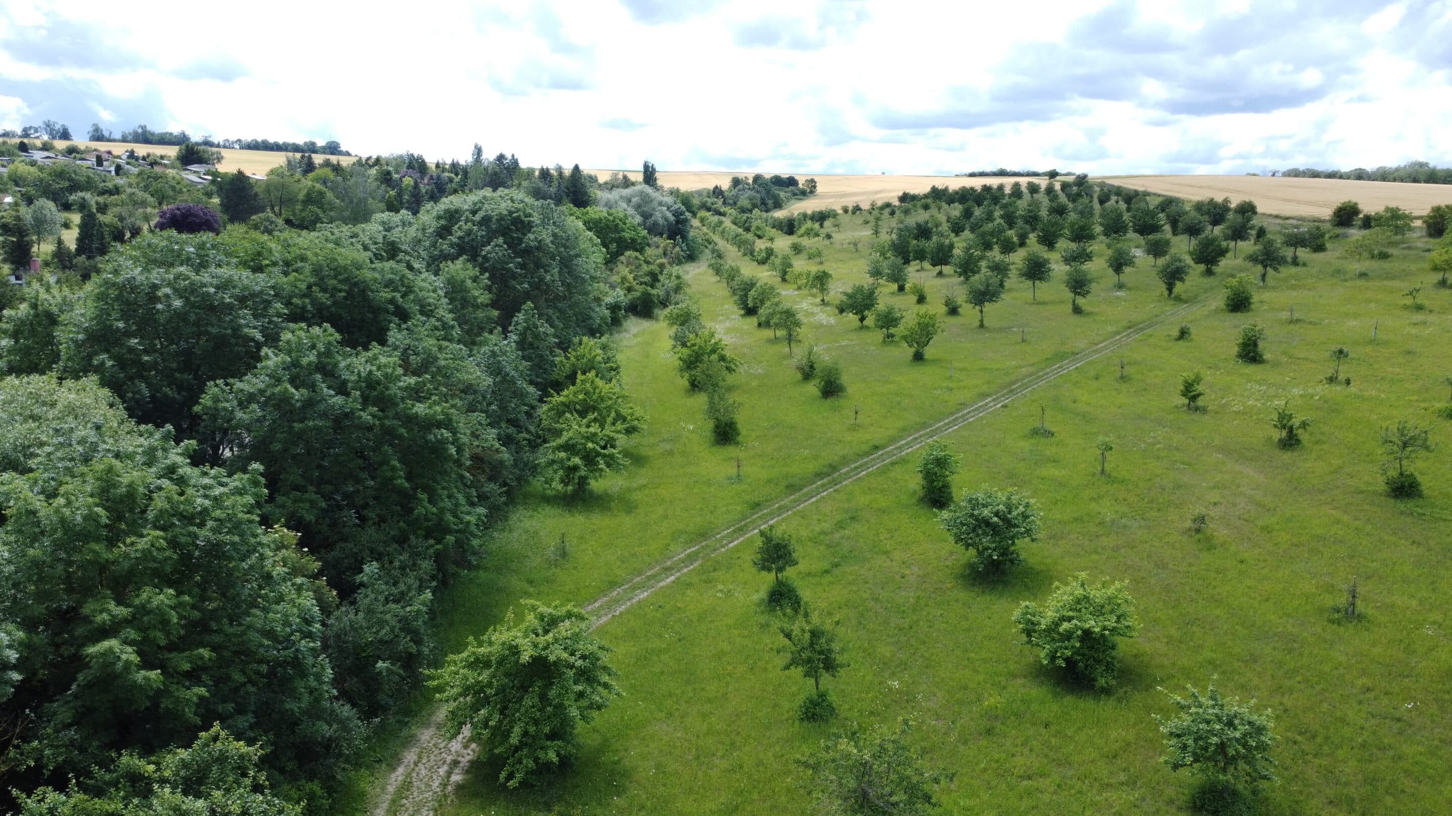 The headwaters of the Marbach in the west of Marbach, a district of the state capital Erfurt in Thuringia.