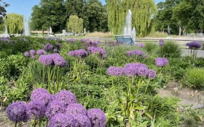 Sparfüchse aufgepasst: Bis Mitte Juni geht es günstiger in den ega-Park