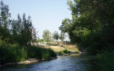 River bathing day in Nordpark