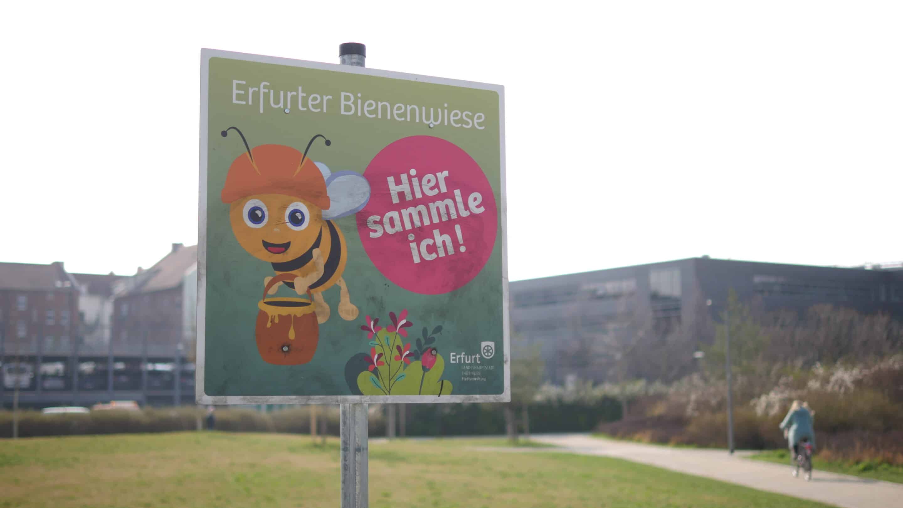 Ein Schild weist auf eine Bienenwiese im Stadtteilpark Johannesfel Erfurt hin.