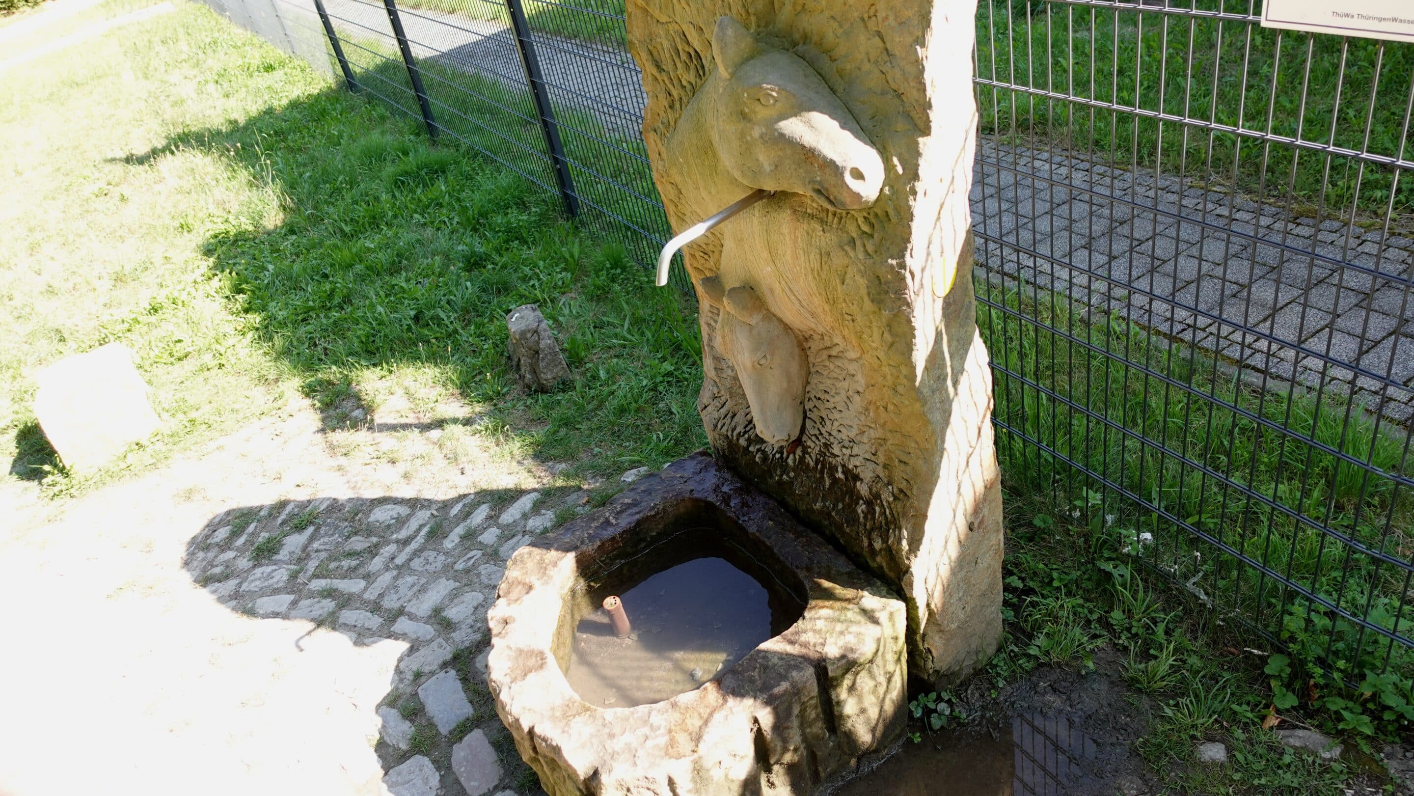 Einen Brunnen im sommerlichen Steigerwald Erfurt schmücken Pferdeköpfe.