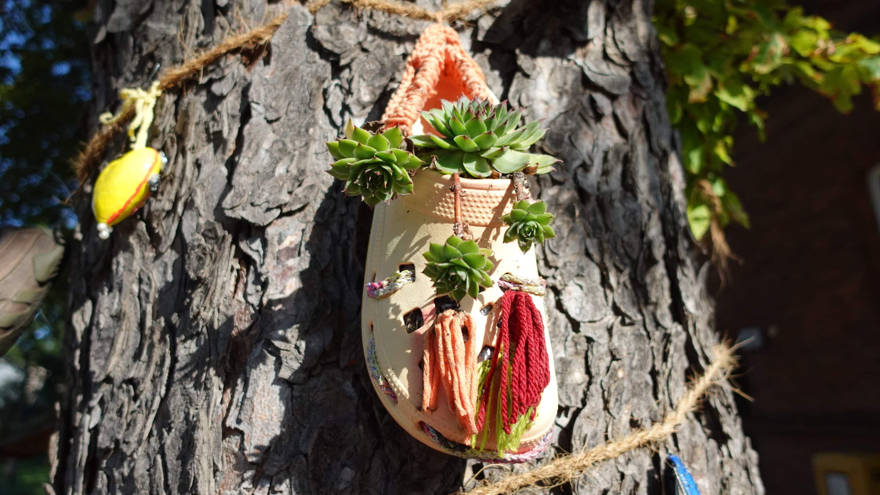 Zum Waidfest haben Kinder einen Schuh gestaltet und an einem Baum in Hochstedt einem Ortsteil von Erfurt aufgehängt.