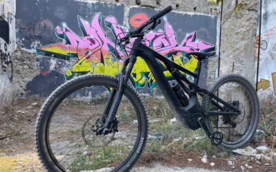 LPI-EF: Expensive e-bike stolen