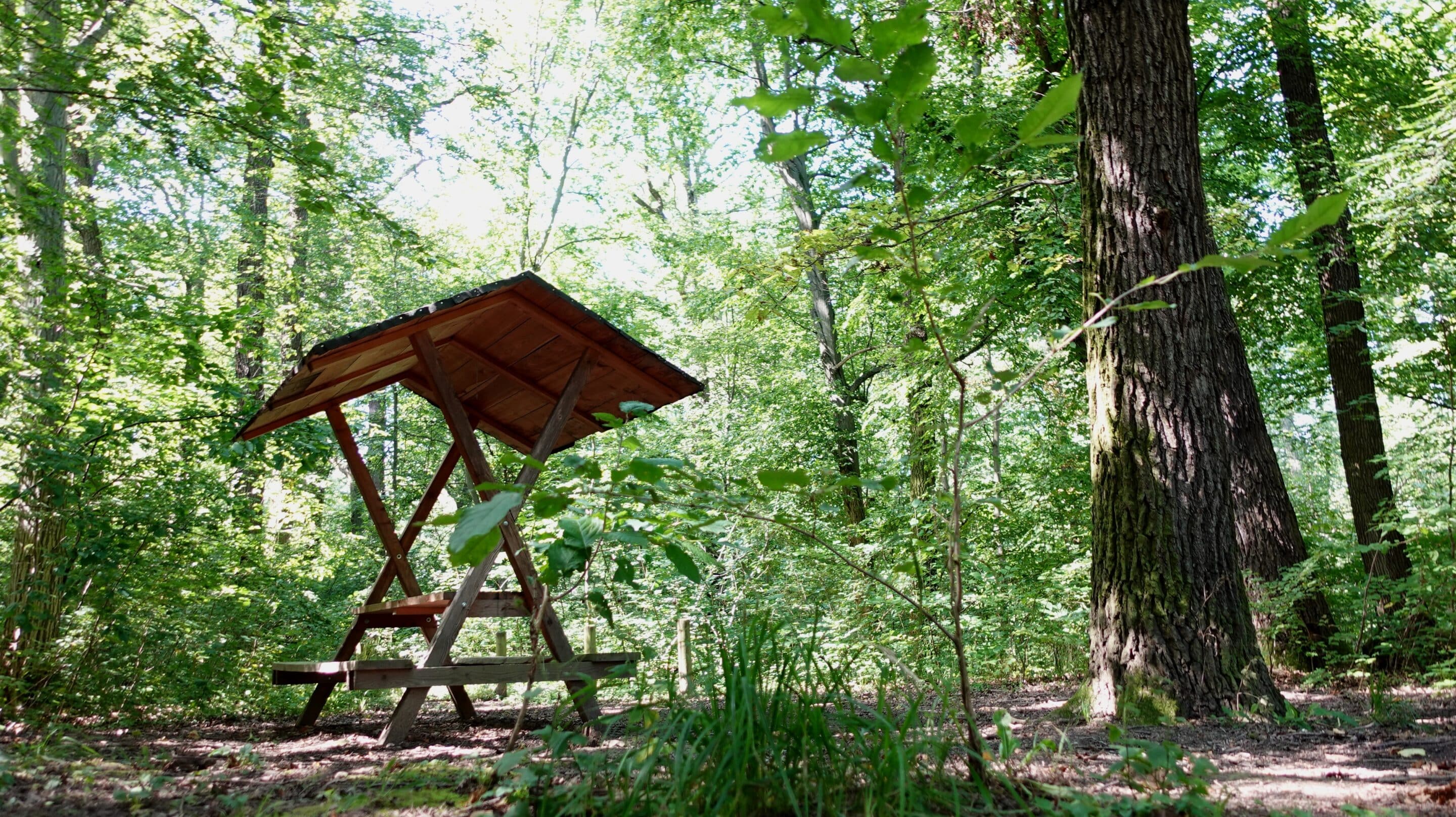 A cozy rest area in the summery Steigerwald Erfurt, the state capital of Thuringia.