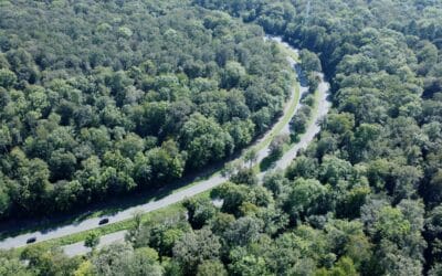 LPI-EF: Berauschte Verkehrsteilnehmerinnen