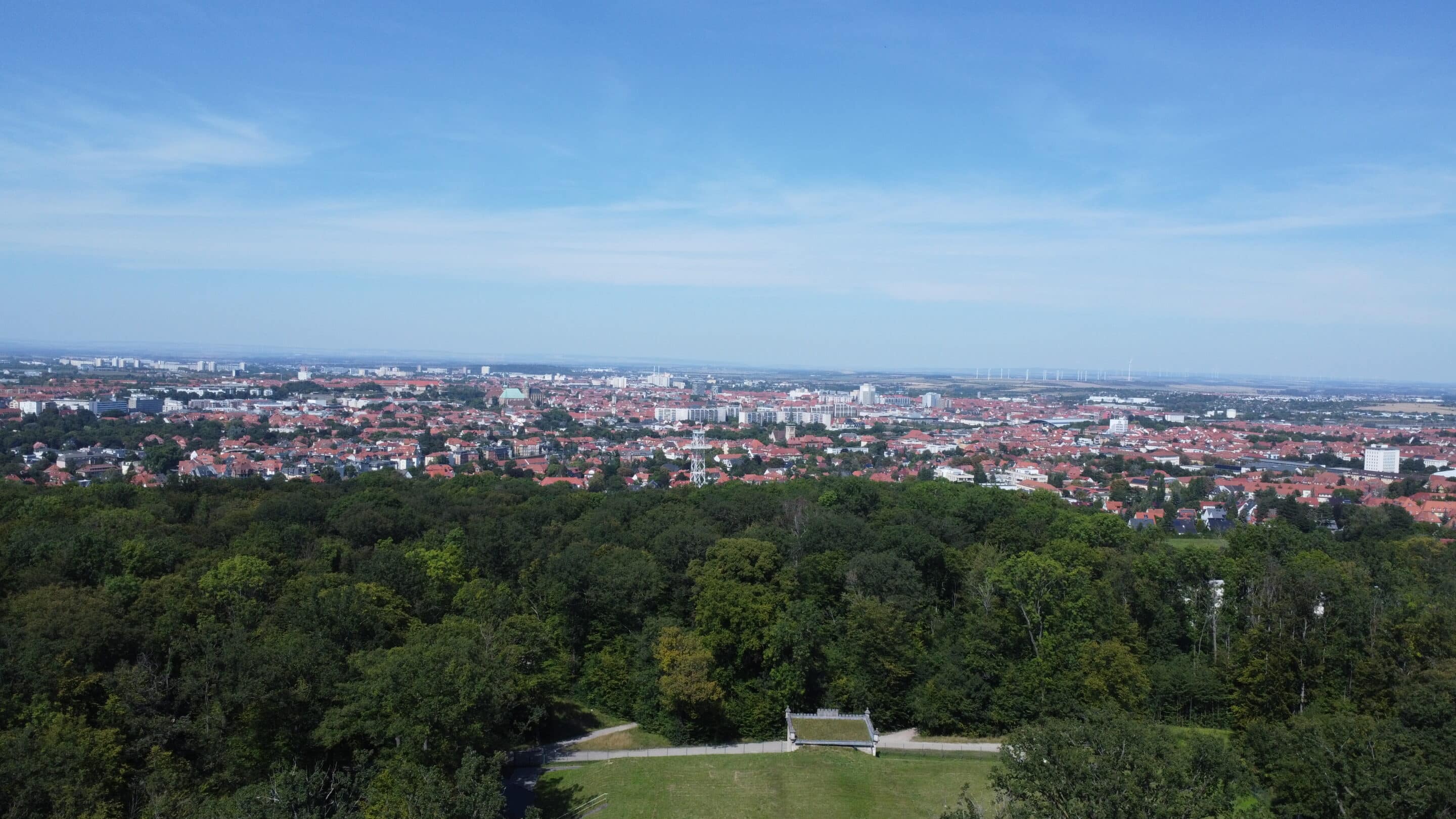 Der Steigerwald Erfurt liegt im Sommer wie ein grüner Gürtel vor der Stadt.