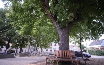 Ab 16. September wird „Am Lindenplatz“ in Dittelstedt gebaut