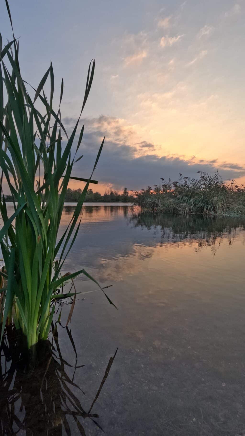 Neuer Kiessee Mittelhausen Erfurt_erfurt