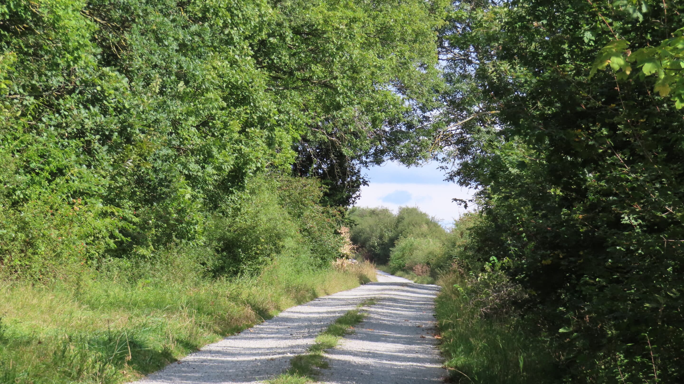 Weg am Südrand des Döbritscher Holz bei Magdala bei dem Fundort des Uhrdaer Schatz.