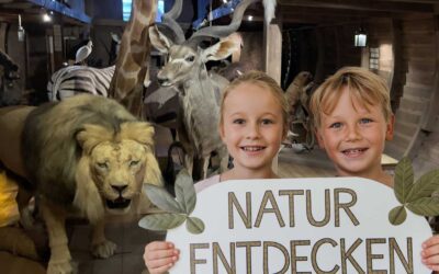 Ferienführung im Naturkundemuseum am 2.10.