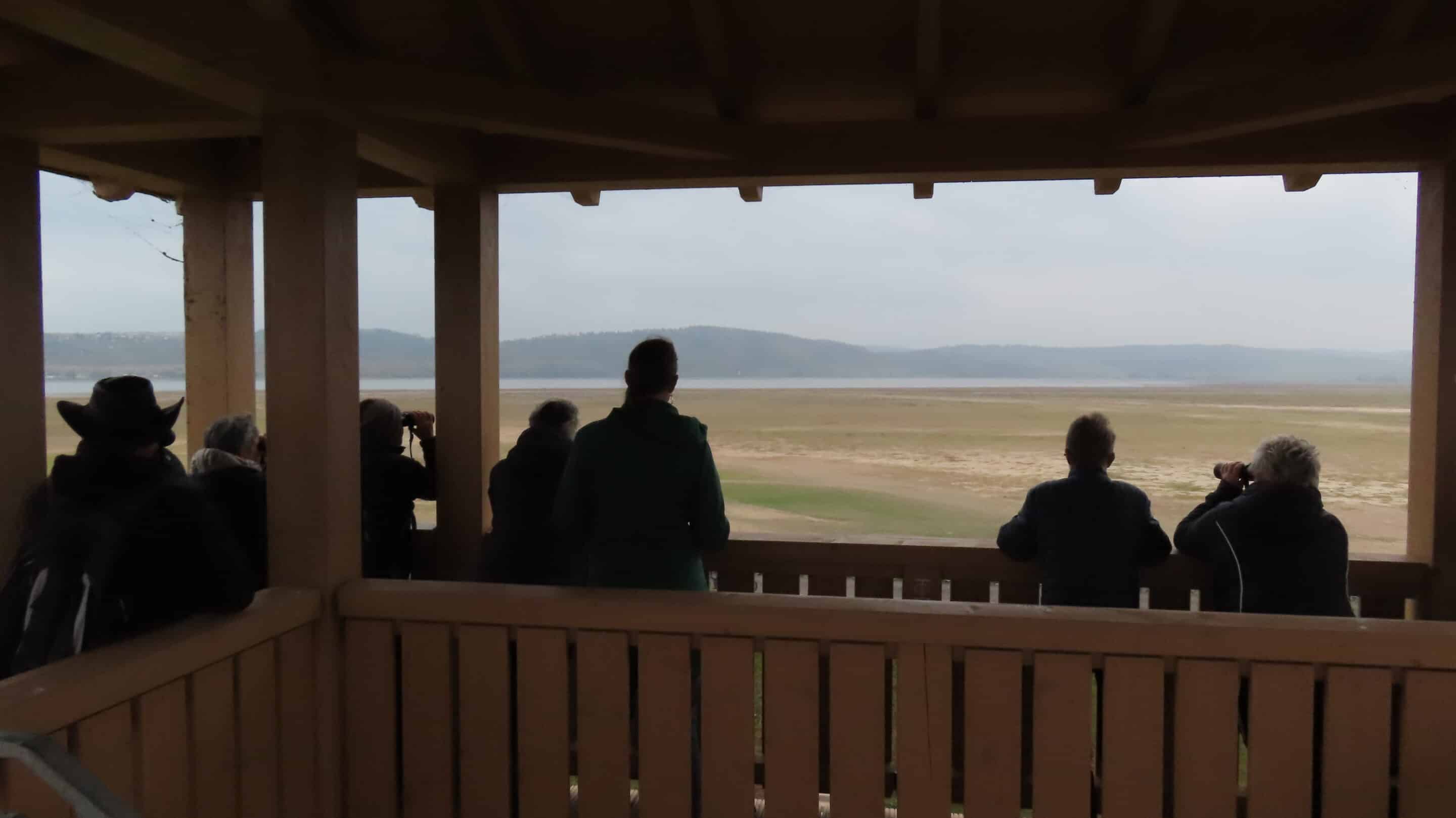 Menschen auf einem Beobachtungsturm für Kraniche am Stausee Kelbra.