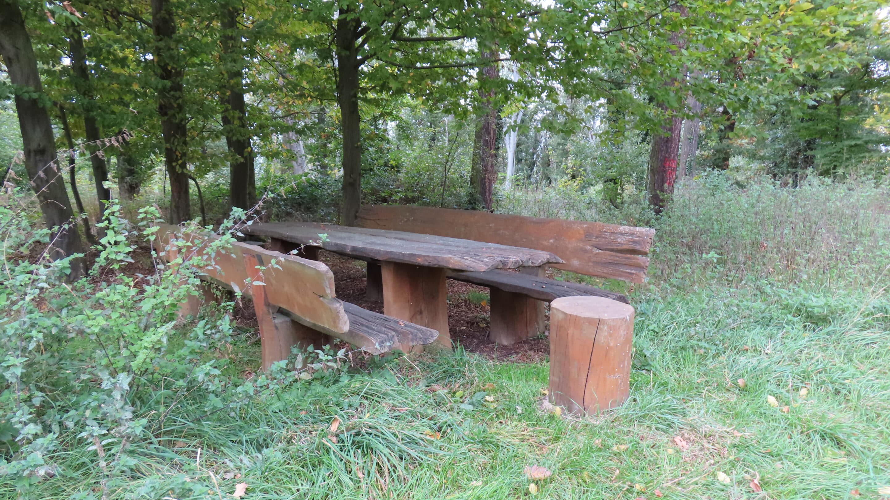 Ein Rastplatz mit Tisch und Bänken oberhalb vom Kloster Donndorf einem Ortsteil der Gemeinde Roßleben Wiehe.