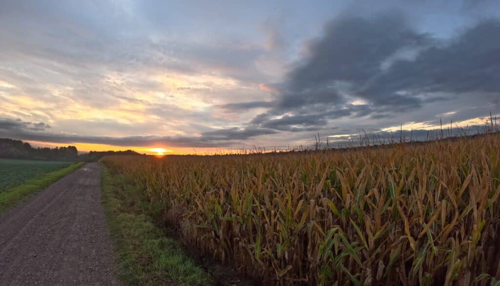 Sonnenaufgang zwischen Gispersleben und Tiefthal_erfurt