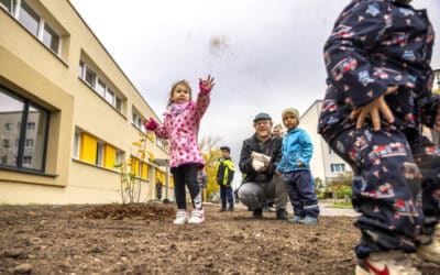Neue Blühwiese bringt Farbe und Lebensraum in die Stadt