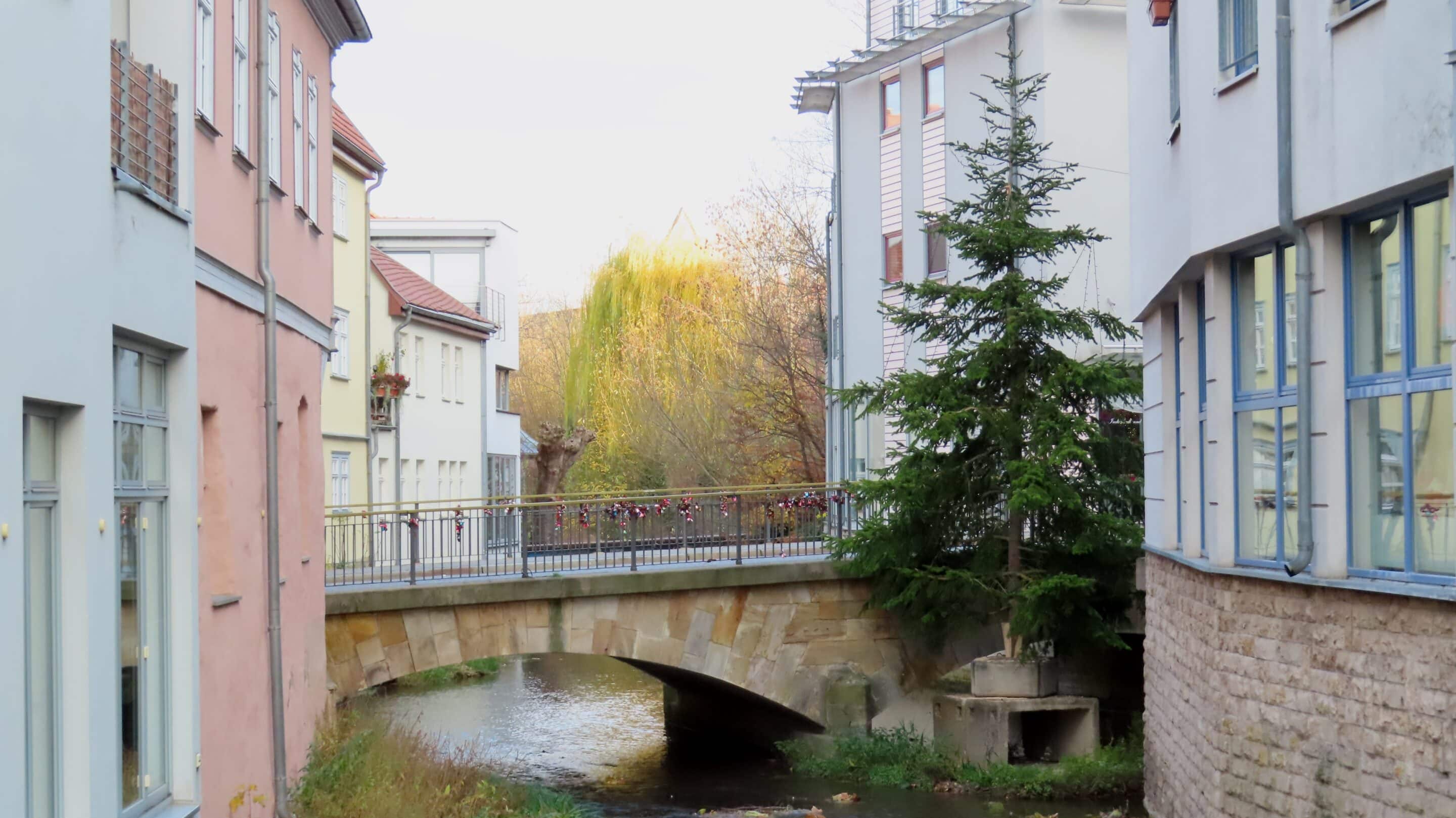 Ein Weihnachtsbaum schmückt die Lange Brücke in der Altstadt Erfurt.